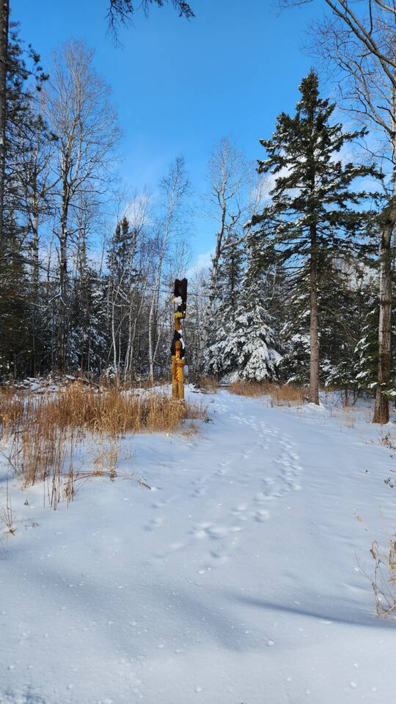 158679-398299-DJ9Sag1mCNZkNjhhpJ8D1nTT28o1h-p-E8pUyZrfnMY-683f30520c427