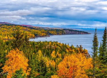 Chasing Peak Fall Colors Best North Shore Drives in October